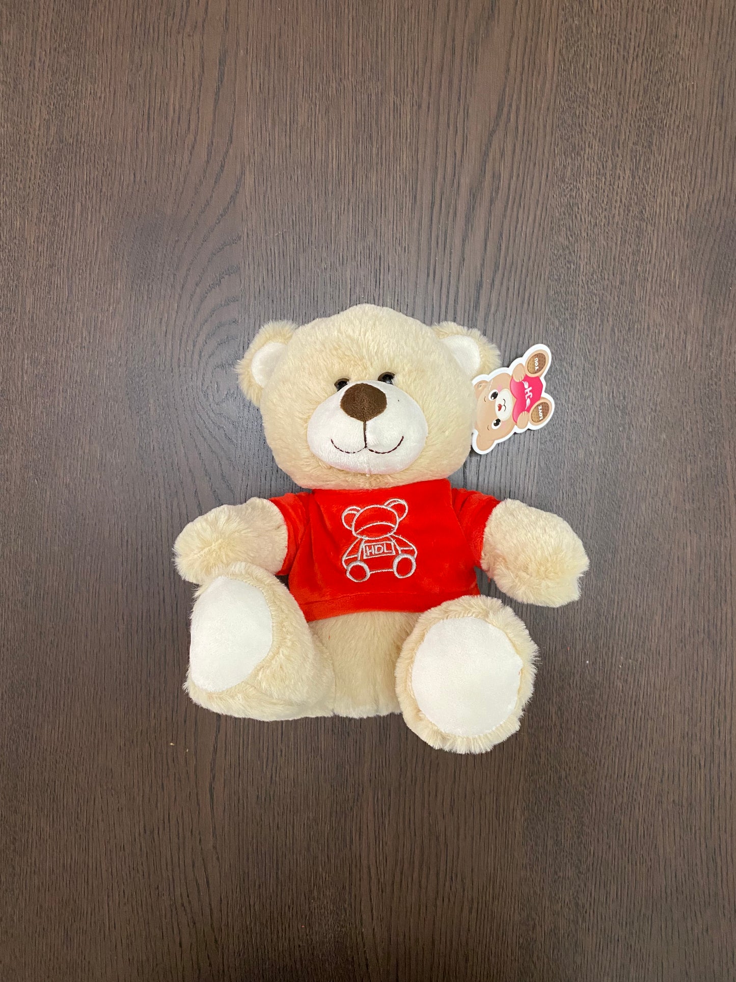 10" Red T-shirt Teddy Bear