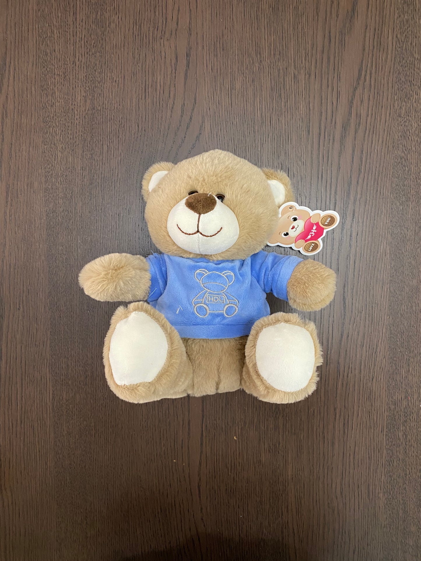 10" Blue T-Shirt Teddy Bear