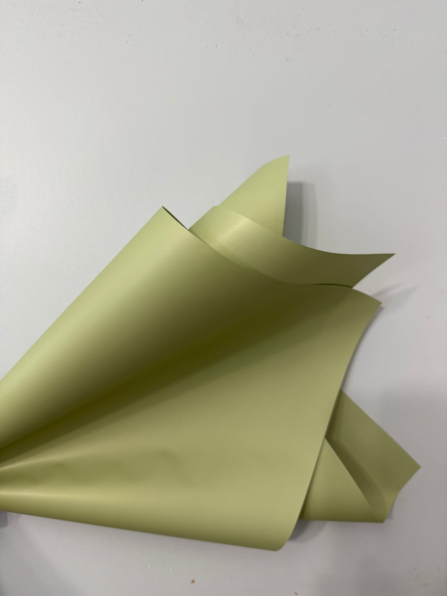 Solid Sage Green Wrapping Paper