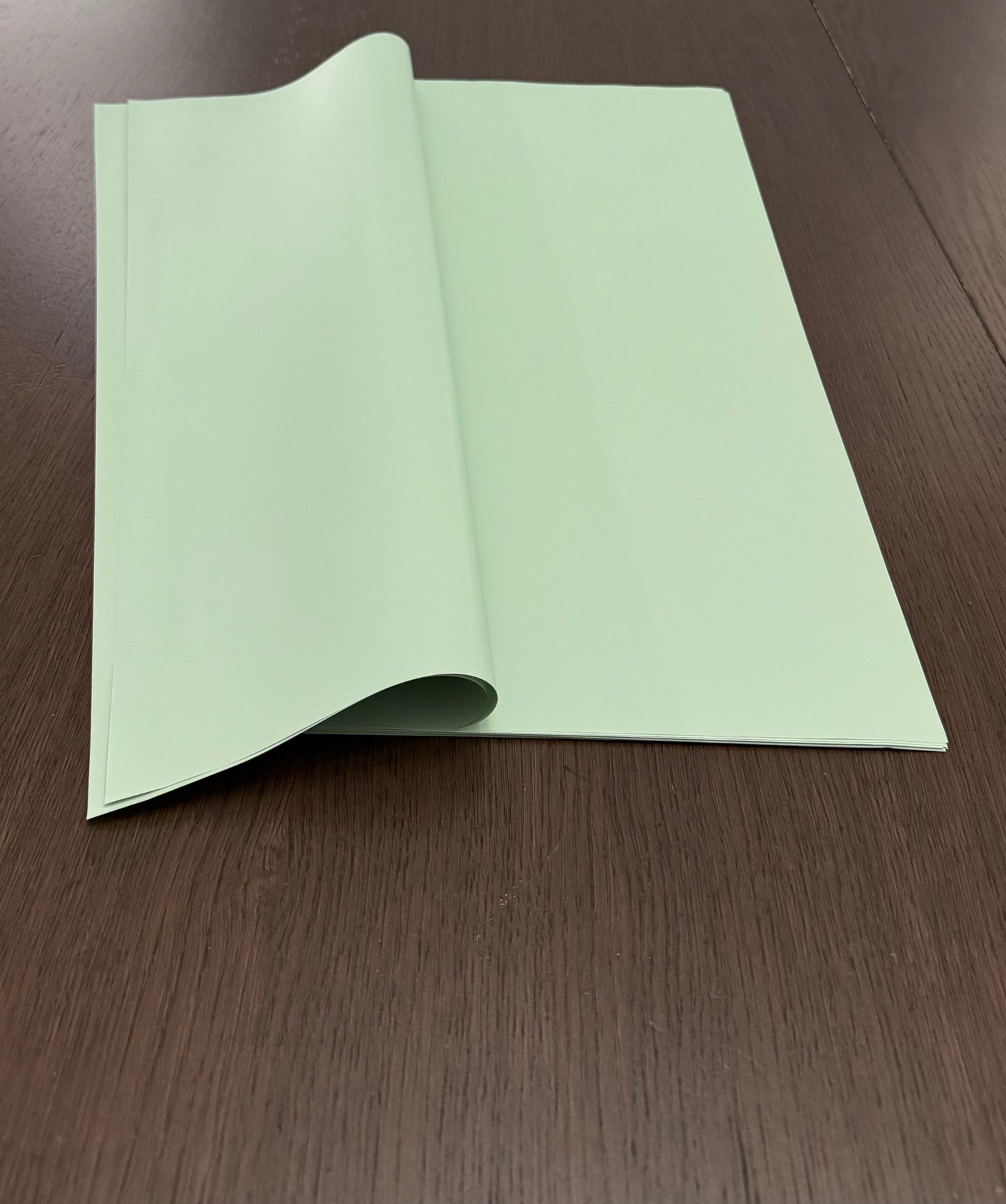 P.XXY-004 Pastel Green Solid Wrapping paper