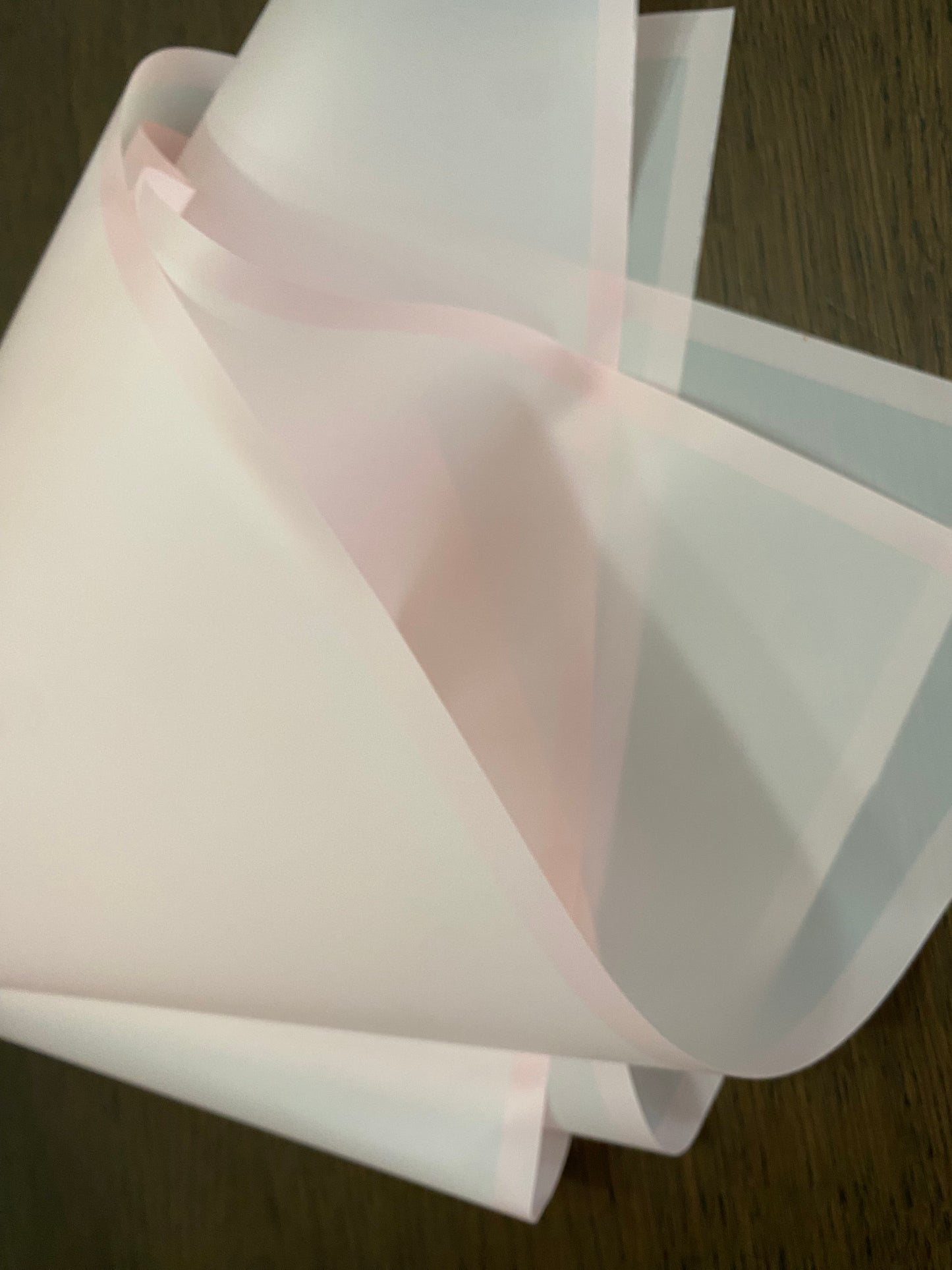 Frosted Pink/ Pink Border Wrapping Paper