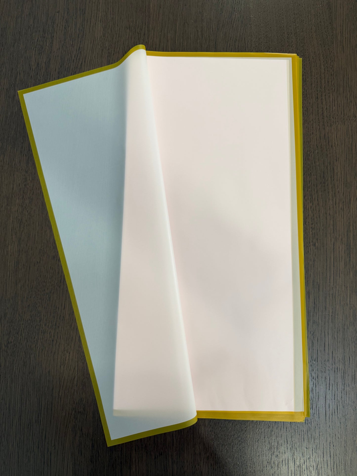 P.GDM-B Frosted Light Pink Gold Border Wrapping Paper