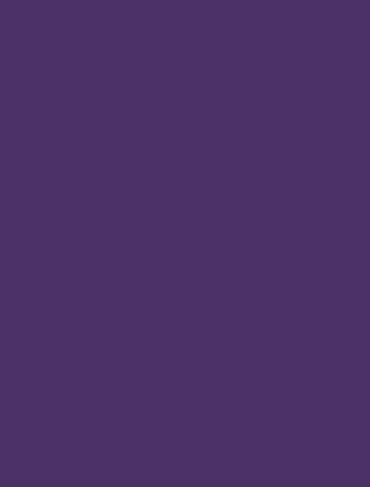 Spray paint Design Master 740 Purple Colortool Spray