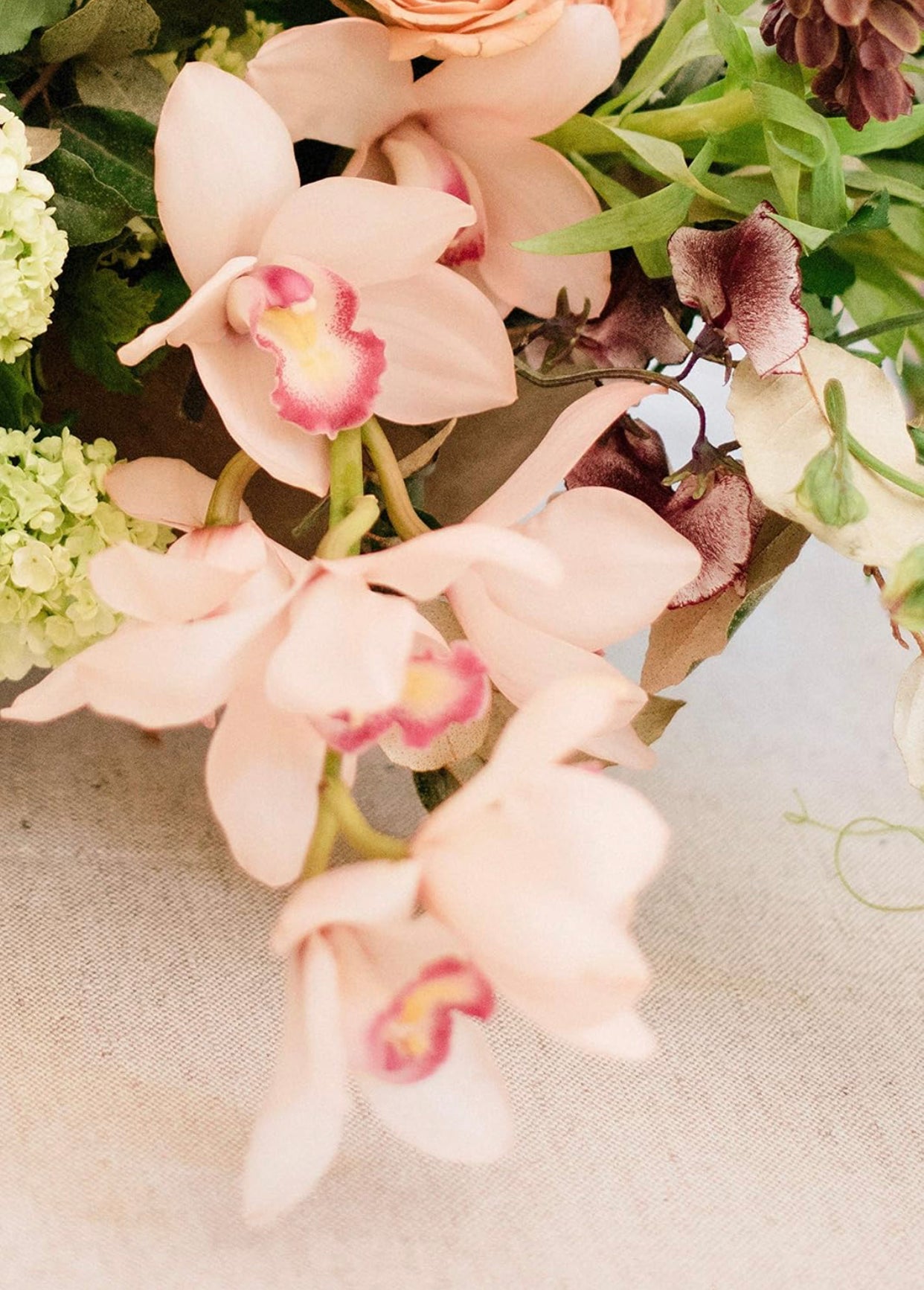 Spray Paint Design Master Just for Flowers Spray Dye,Peach