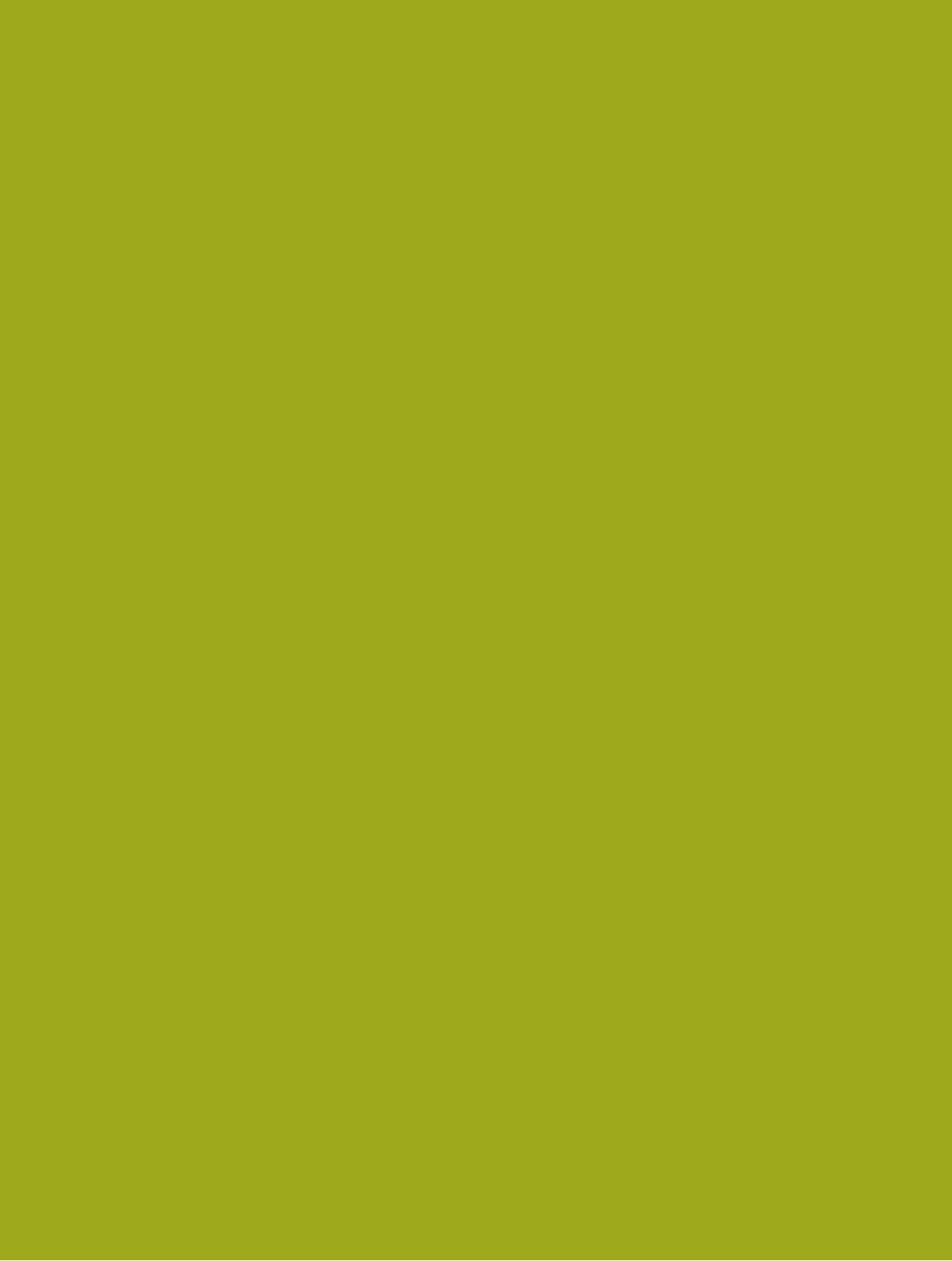 Design Master 790 Olive Bright Colortool Spray
