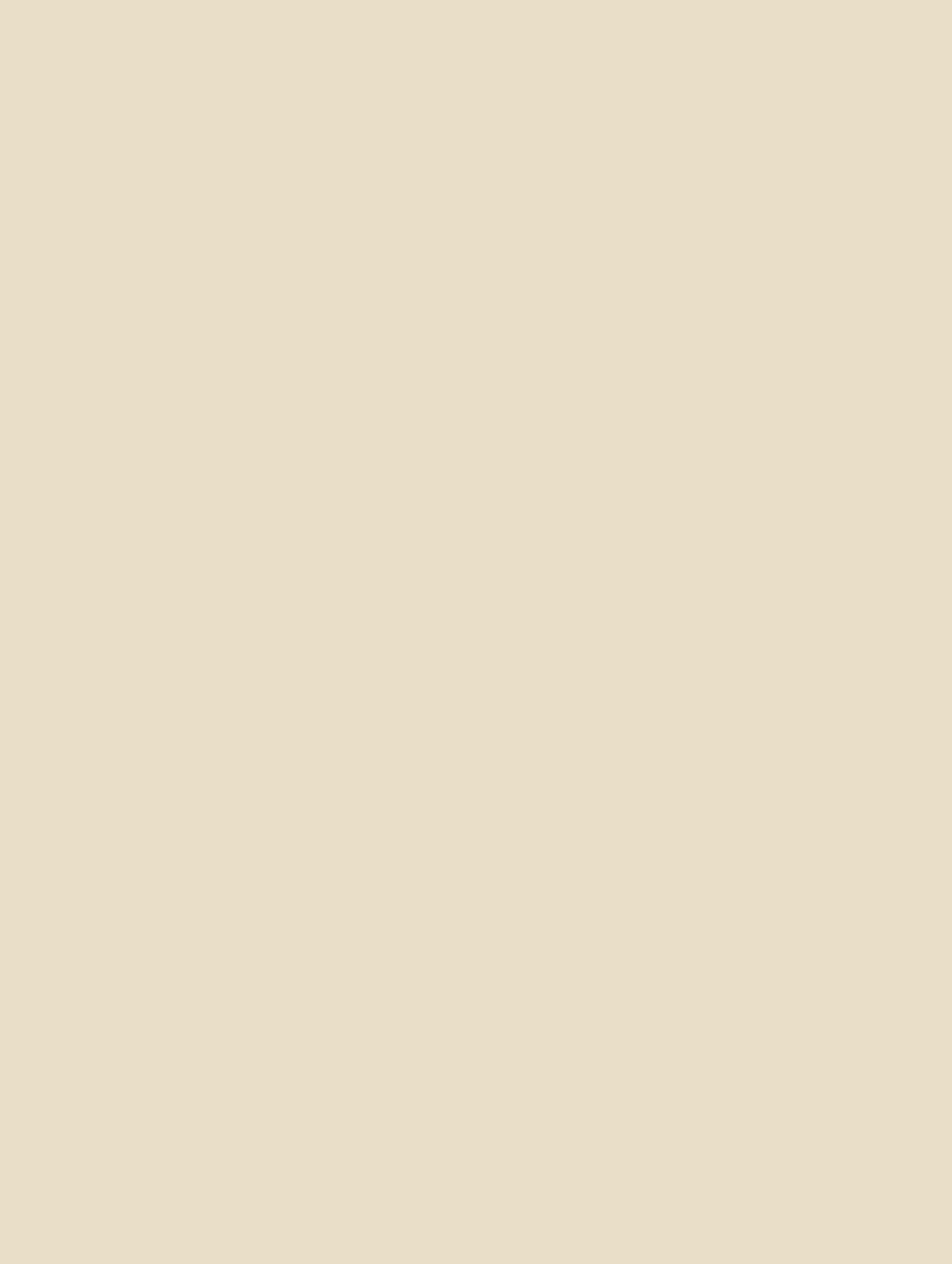 Spray paint Design Master 724 Ivory