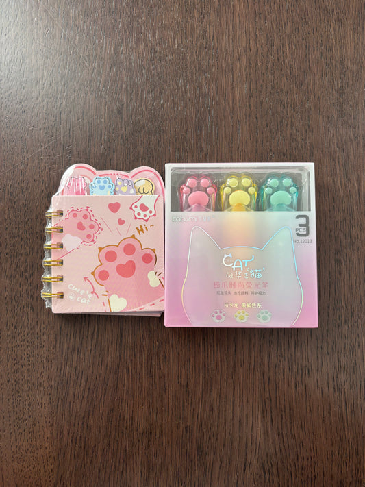 Light Pink MIni Notębook & Highlighter Set